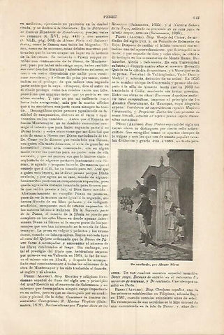 LAMINA ESPASA 17993: De centinela por A. Perez