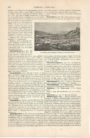 LAMINA ESPASA 18005: Ruinas de Jerasa