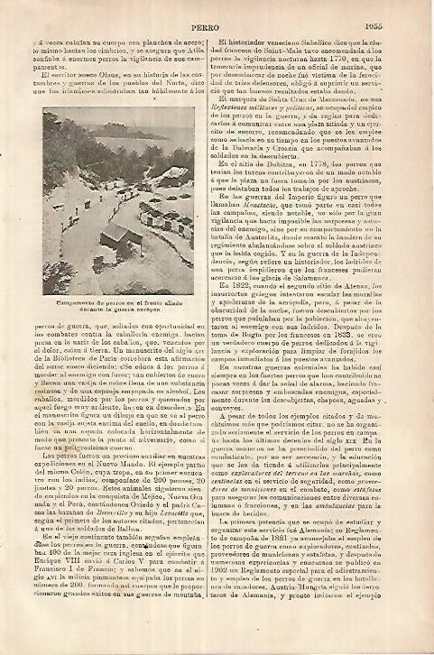 LAMINA ESPASA 18034: Campamento de perros en la Primera Guerra Mundial