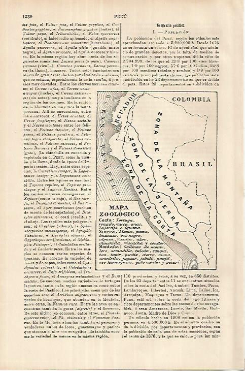 LAMINA ESPASA 18069: Mapa zoologico de Peru