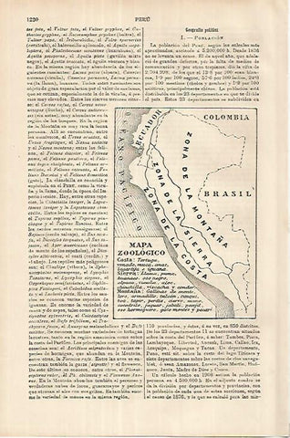 LAMINA ESPASA 18069: Mapa zoologico de Peru