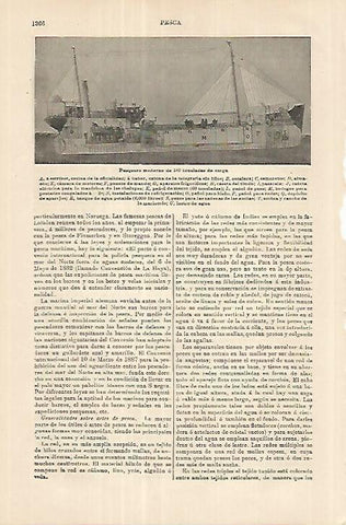 LAMINA ESPASA 18101: Pesquero de 100 toneladas de carga