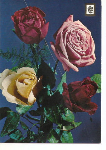Postal 037941 : Coleccion flores naturales en ramo