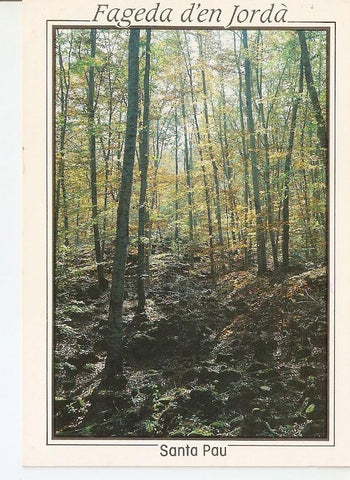 Postal 029437 : Santa Pau (Girona) zona volcanica de la Garrotxa panoramica de la Fageda den Jorda a la tardor