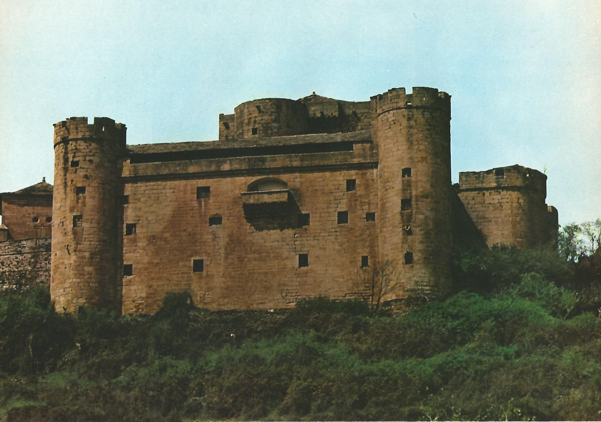 Lamina 0120: Castillo de Puebla de Sanabria (Zamora)