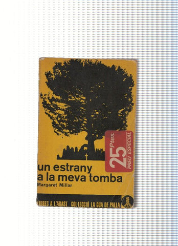 Un estrany a la meva tomba