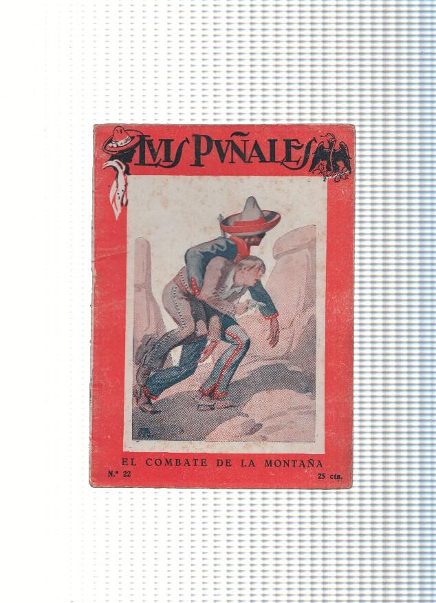 Luis Puñales numero 22: El combate de la montaña