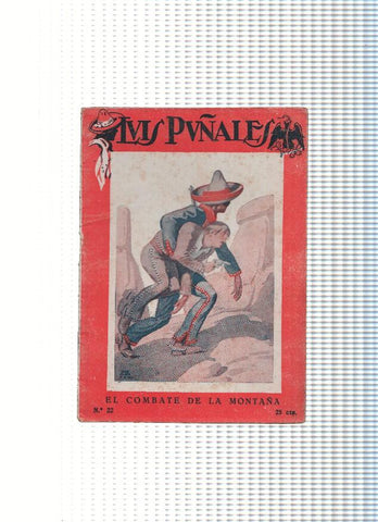 Luis Puñales numero 22: El combate de la montaña