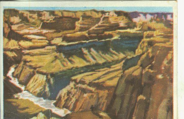 Cromos: Historia Natural numero El rio colorado