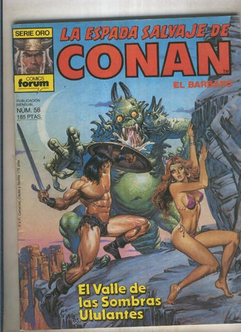 La espada salvaje de conan volumen 1 numero 056