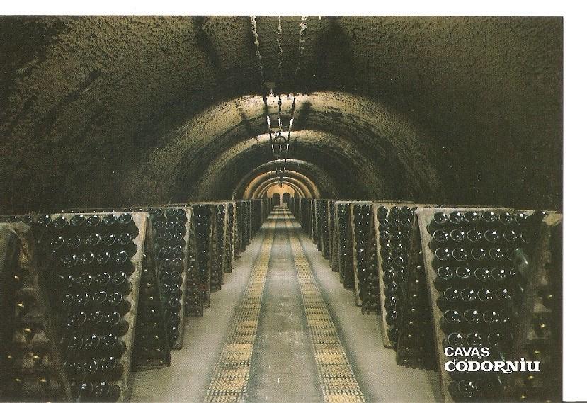 Postal 043197 : Cavas Codorniu. Botellas en pupitre