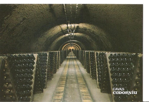 Postal 043197 : Cavas Codorniu. Botellas en pupitre