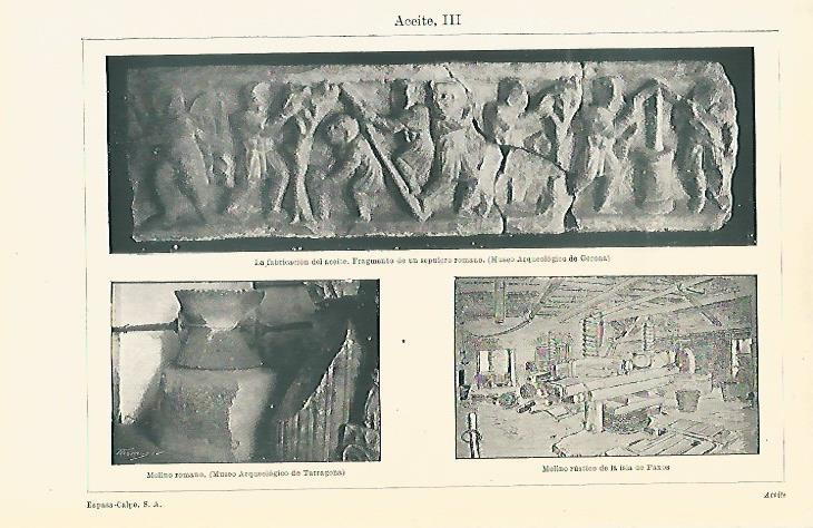 LAMINA ESPASA 8015: Molino romano en el Museo Arqueologico de Tarragona