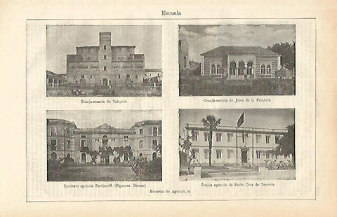 LAMINA ESPASA 16650: Escuelas de Agricultura 