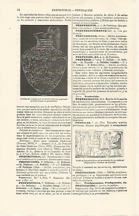 LAMINA ESPASA 16710: Prefericulo 