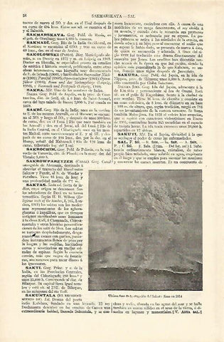 LAMINA ESPASA 18140: Erupcion del Sakura Jima en 1914