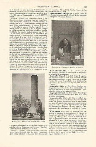 LAMINA ESPASA 18243: Vistas de Samarkanda