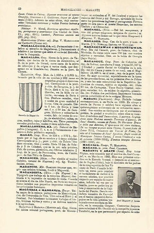 LAMINA ESPASA 18491: Escudo de Magallon Valencia
