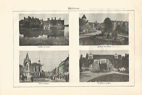 LAMINA ESPASA 18529: Vistas de Maidstone Inglaterra