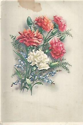 POSTAL 18235: Flores