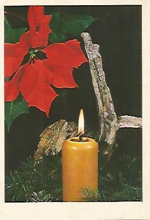 POSTAL DE NAVIDAD 18403