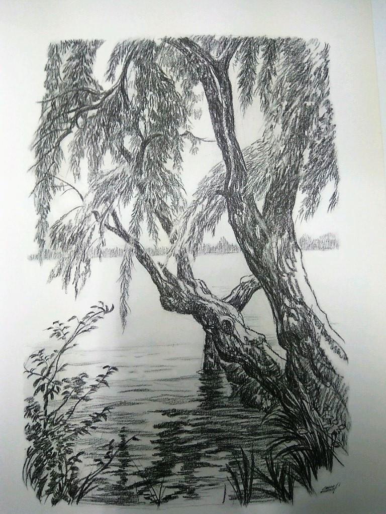 Laminas Carlos Freixas: Paisajes II 01- ARBOL A ORILLAS DE LAGO (Serie estudios 24)