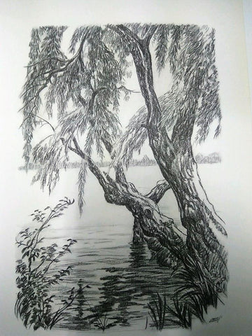 Laminas Carlos Freixas: Paisajes II 01- ARBOL A ORILLAS DE LAGO (Serie estudios 24)