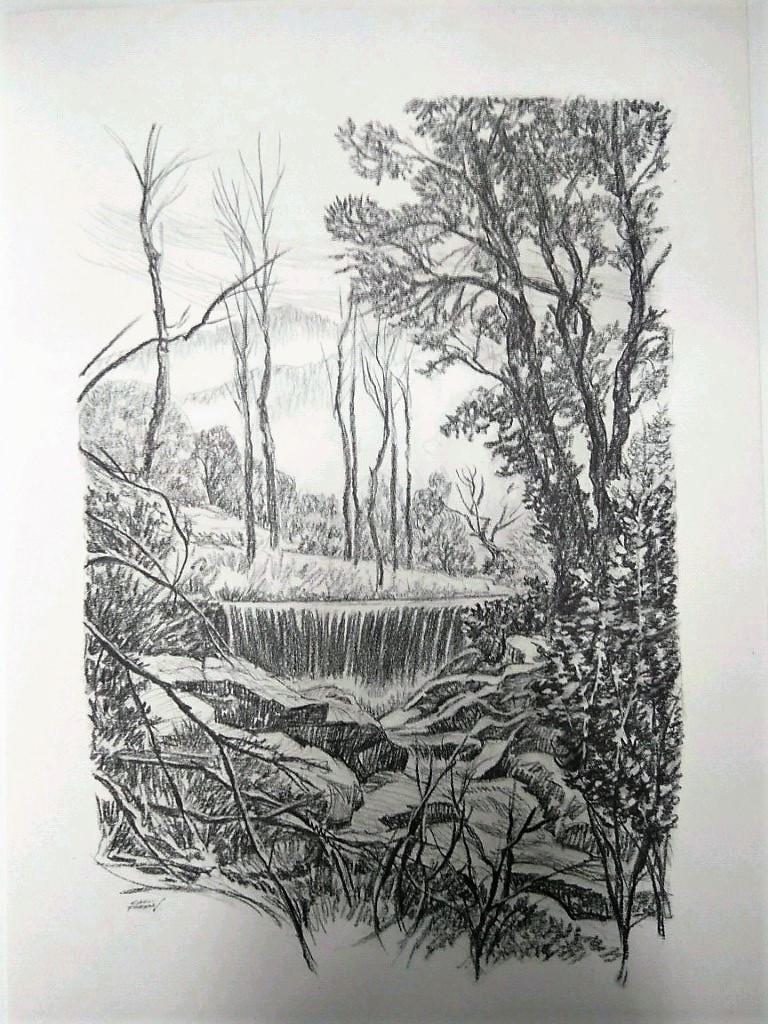 Laminas Carlos Freixas: Paisajes II 02- RIACHUELO EN EL BOSQUE (Serie estudios 24)