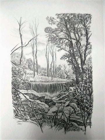 Laminas Carlos Freixas: Paisajes II 02- RIACHUELO EN EL BOSQUE (Serie estudios 24)