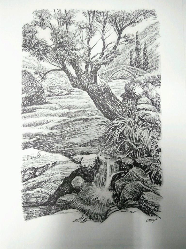 Laminas Carlos Freixas: Paisajes II 03- ARBOL Y RIO CON PUENTE AL FONDO (Serie estudios 24)