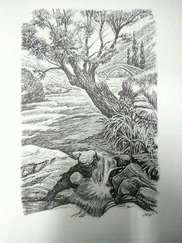 Laminas Carlos Freixas: Paisajes II 03- ARBOL Y RIO CON PUENTE AL FONDO (Serie estudios 24)