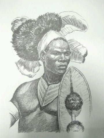 Laminas Carlos Freixas: Tipos exoticos II 06: JEFE TRIBU ZULU  (Serie Estudios 16)
