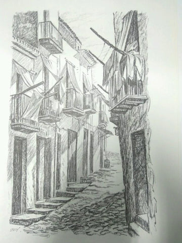 Laminas Carlos Freixas: PATIOS Y CALLES TIPICOS: Numero 06 (Serie Estudios 28)