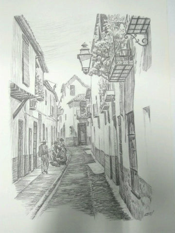 Laminas Carlos Freixas: PATIOS Y CALLES TIPICOS: Numero 08 (Serie Estudios 28)