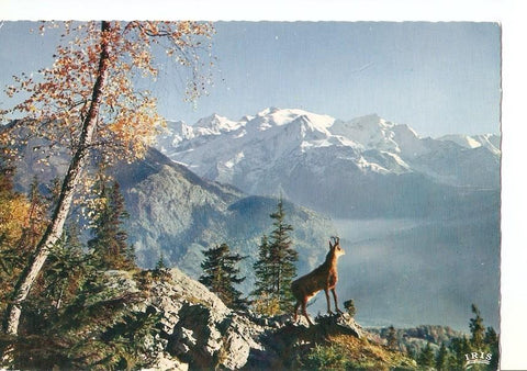 Postal 040870 : Le Chamois des Alpes