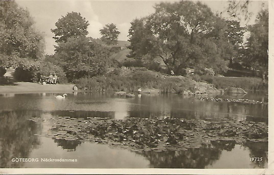 Postal 51104: GOTEBORG - Lago
