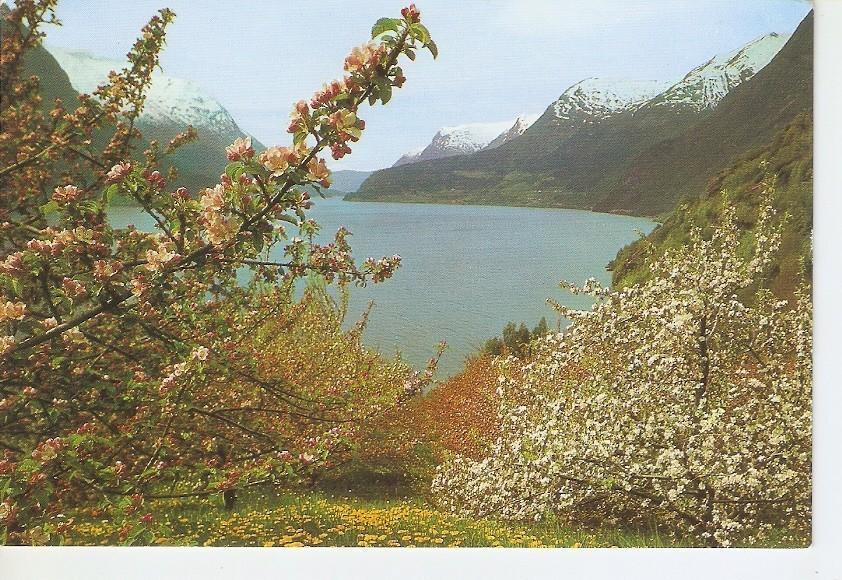 Postal 034965 : Cordillera