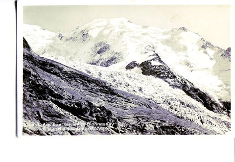 Postal 16359: NID AIGLES - Glacier de Bionnassay