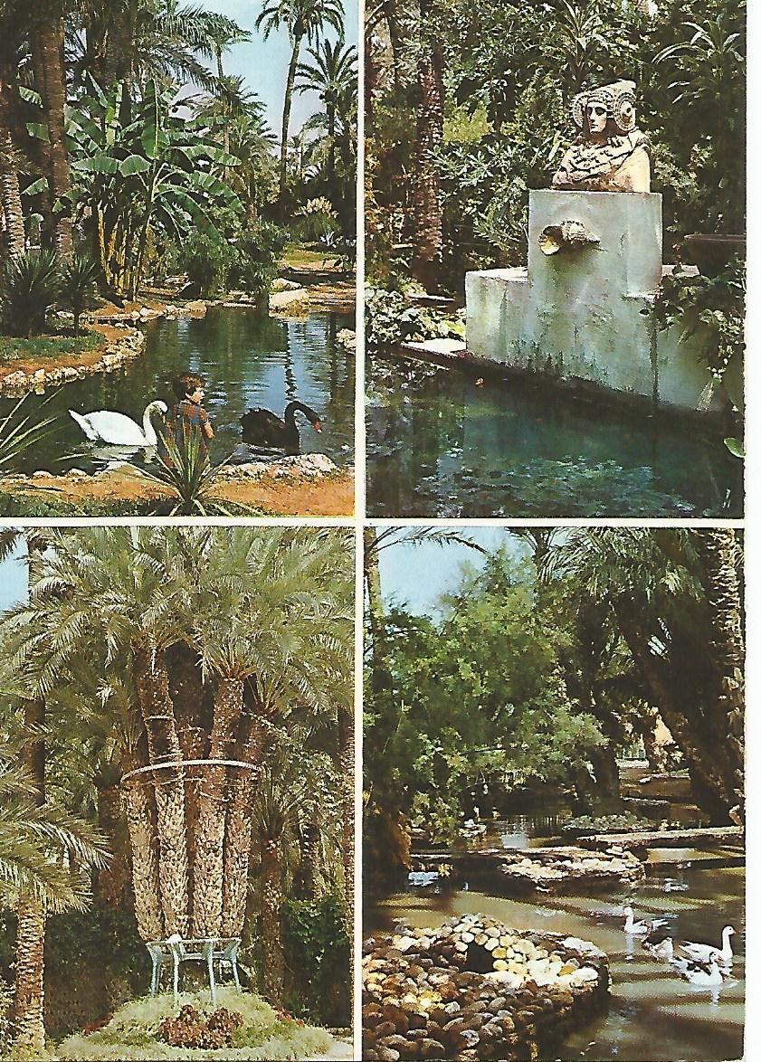 Postal 50406: ELCHE -Vistas