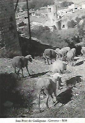 POSTAL 55029: Gerona. Sant Pere de Galligans