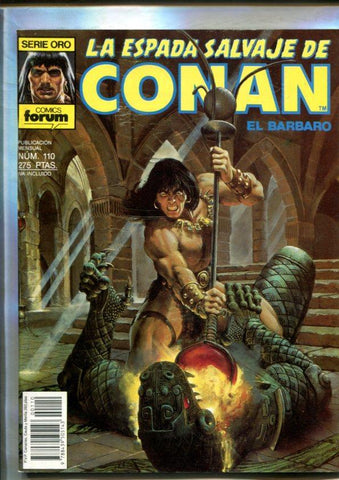 La espada salvaje de conan volumen 1 numero 110