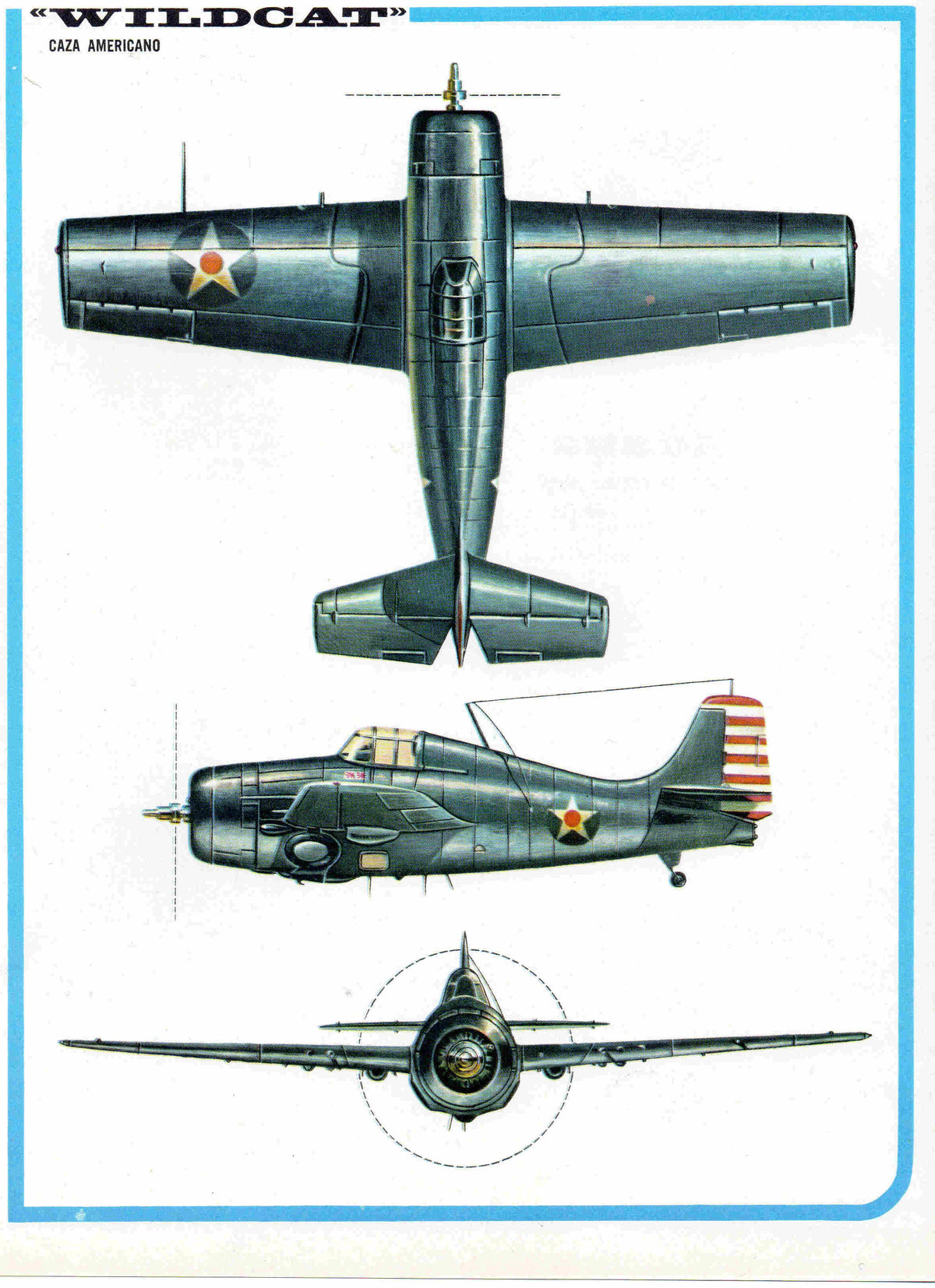 LAMINA 4151: WILDCAT Caza Americano