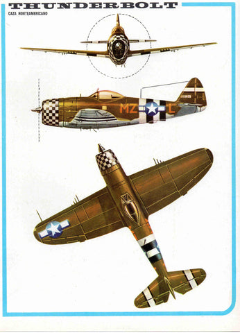 LAMINA 4173: THUNDERBOLT Caza Norteamericano