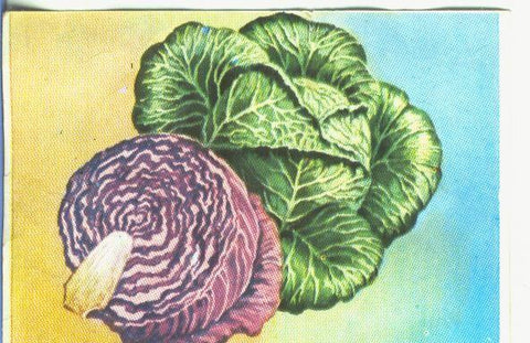 Cromos: Historia Natural numero 461