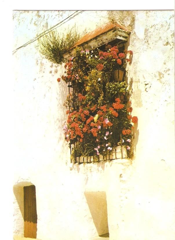 Postal 027992 : Aracena, calle Colon