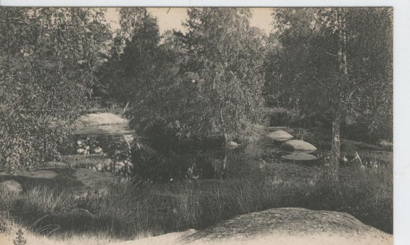 Postal B/N 0352 : Fontainebleau: Mare aux Pigeons, a Franchart