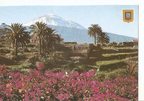 Postal 037329 : Tenerife. La Victoria. Vista general y Teide