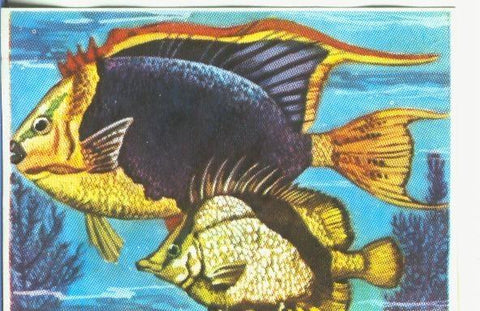 Cromos: Historia Natural numero 327