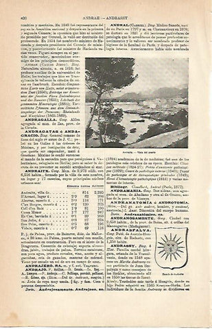 LAMINA ESPASA 6965: Puerto de Andraitx Baleares