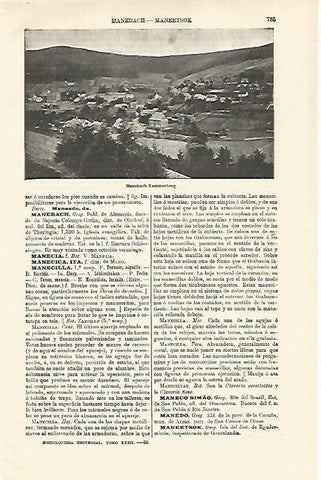LAMINA ESPASA Alemania 18608: Vista de Manebach Alemania